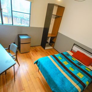 Casa Condesa - Room #1.6 (Floor 1)